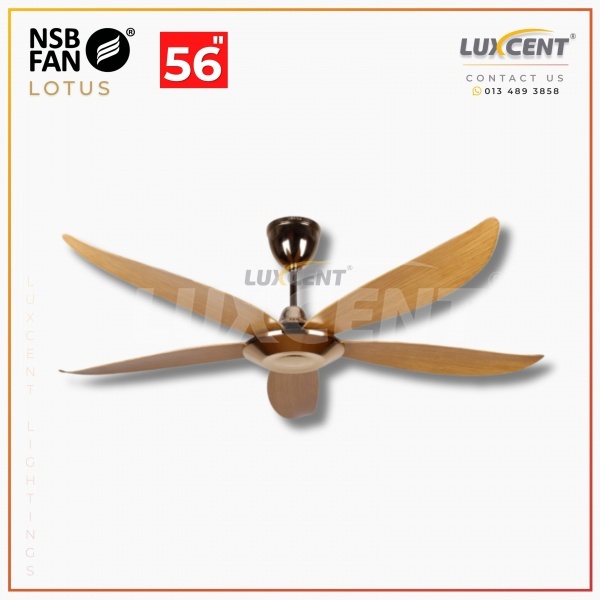 NSB Lotus (GD  Oak) 56