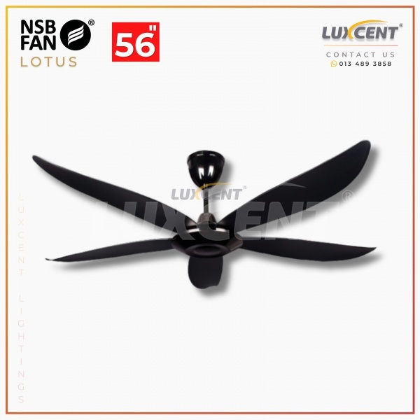 NSB Lotus (GM  BK) 56