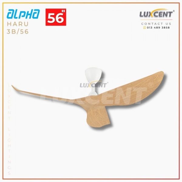 Alpha Haru (Chestnut  Matt White) 56