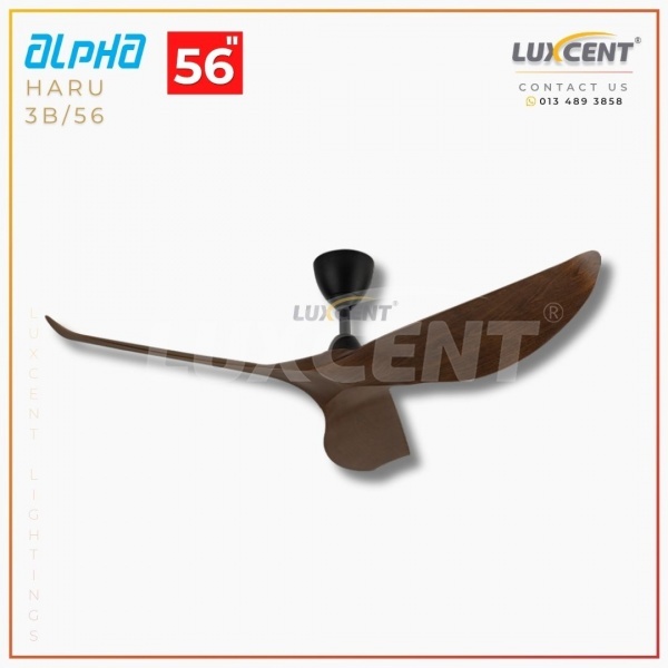 Alpha Haru (Walnut  Matt Black) 56