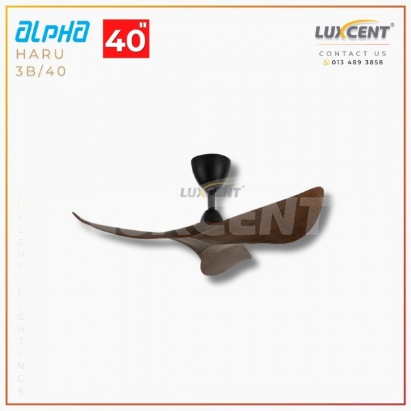 Alpha Haru (Walnut  Matt Black) 40