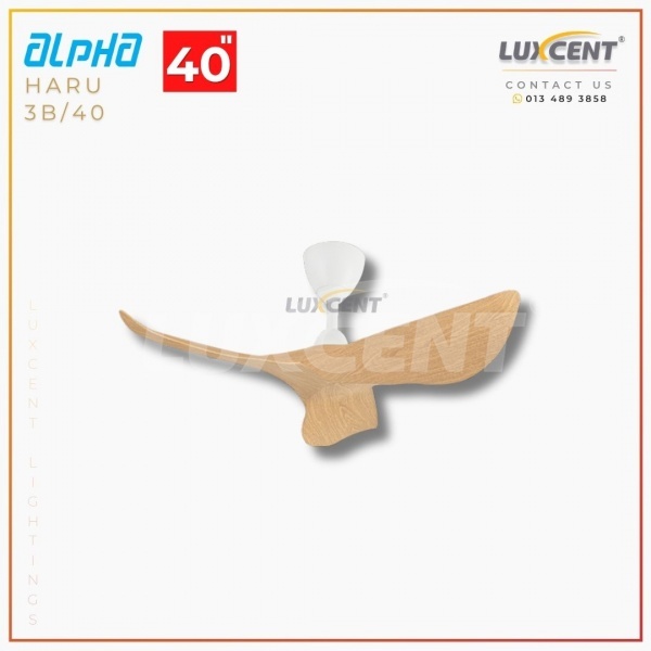 Alpha Haru (Chestnut  Matt White) 40