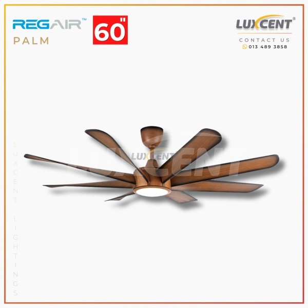 Regair Palm (Oak) 60