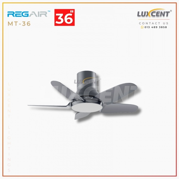 Regair MT-36 (Grey) 36