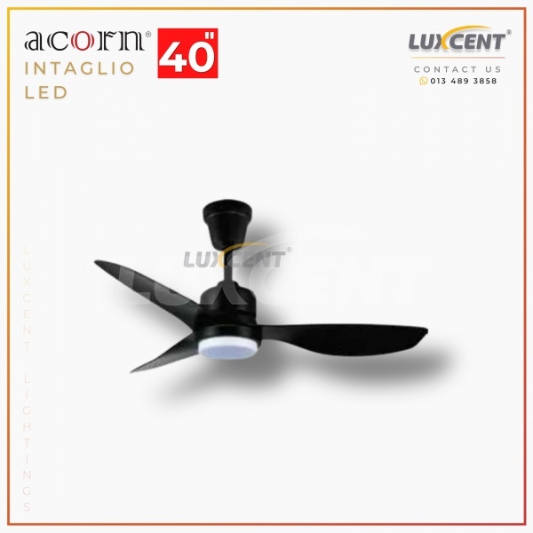Acorn Intaglio LED (Matt Black) 40