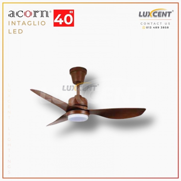 Acorn Intaglio LED (Wooden) 40