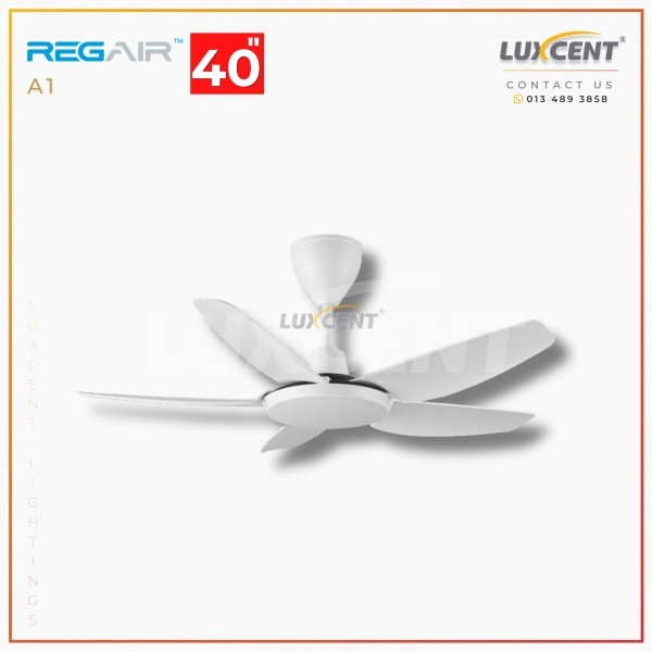 Regair A1 (Matt White) 40