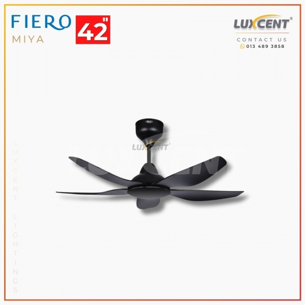 Fiero Miya (Matt Black) 42