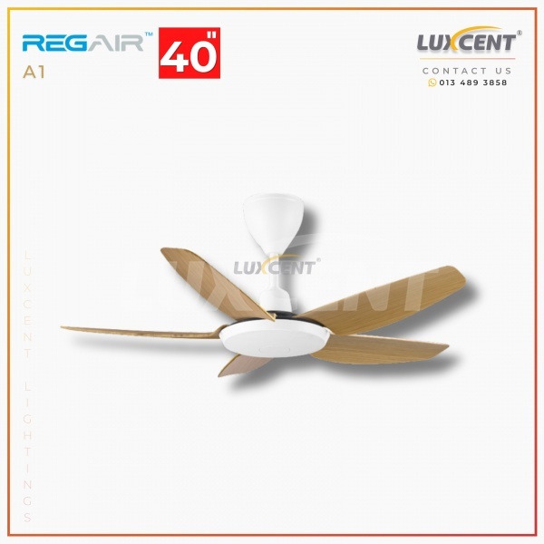 Regair A1 (Matt White+Pinewood) 40