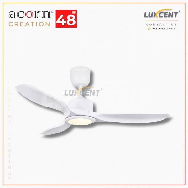 Acorn Creation (Matt White) 48