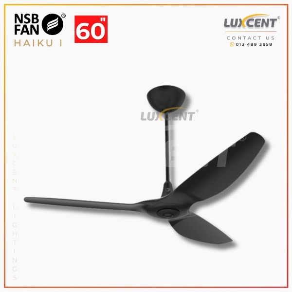 NSB Haiku I (BK  BK) 60