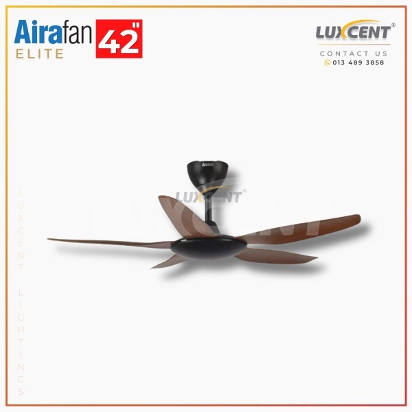Aira Elite (Walnut) 42