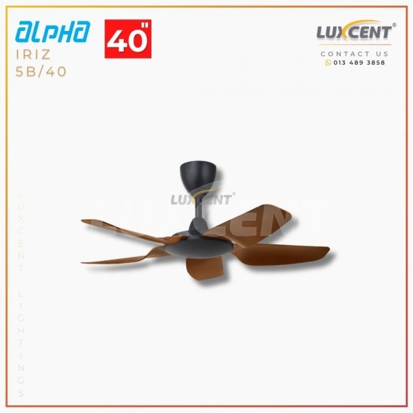 Alpha Iriz (Walnut  Matt Black) 40