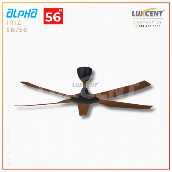 Alpha Iriz (Walnut  Matt Black) 56