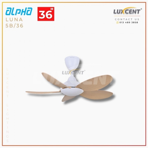 Alpha Luna (Maple  Matt White) 36