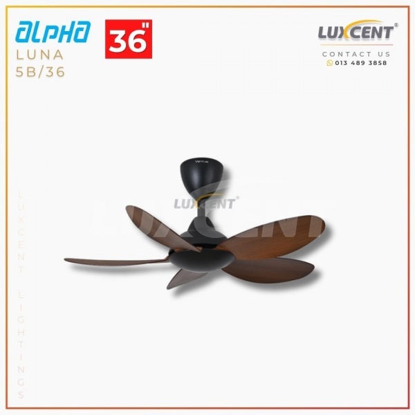 Alpha Luna (Walnut  Matt Black) 36