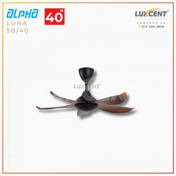 Alpha Luna (Walnut  Matt Black) 40