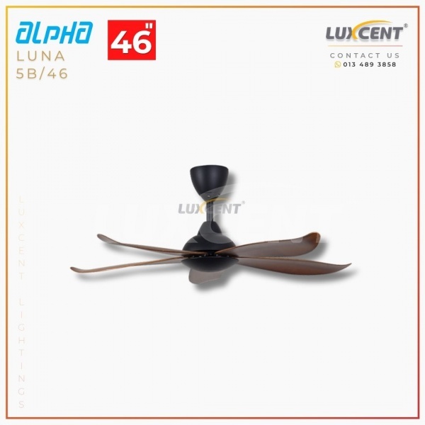 Alpha Luna (Walnut  Matt Black) 46