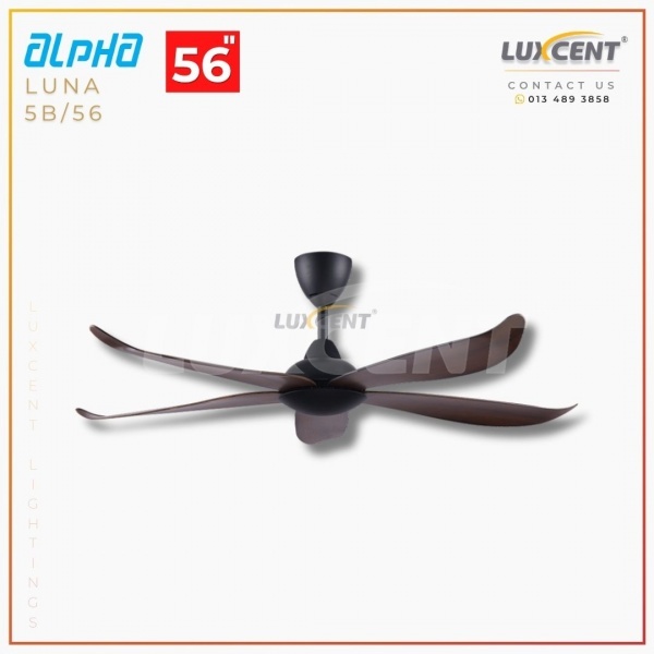 Alpha Luna (Walnut  Matt Black) 56