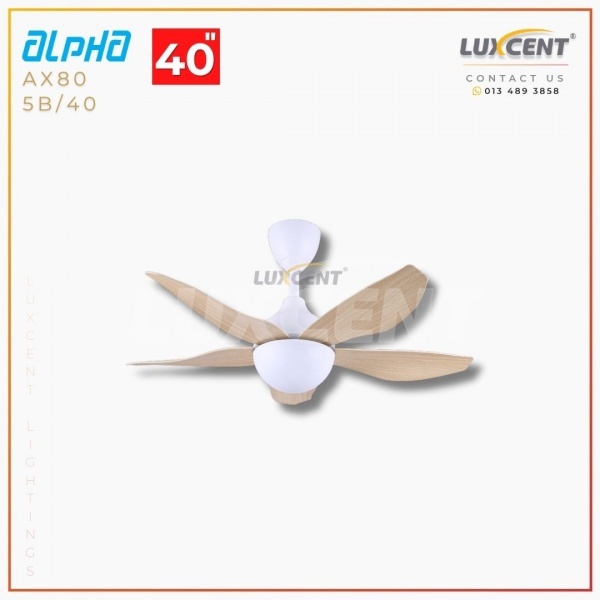 Alpha AX80 (Maple / Matt White) 40"