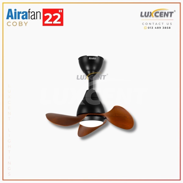 Aira Coby (Walnut) 22