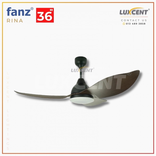 Fanz Rina (Dark Oak) 36