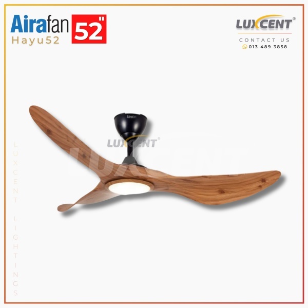 Aira Hayu (Pine) 52