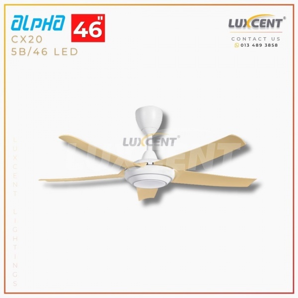 Alpha CX20 LED (Maple / Matt White) 46"