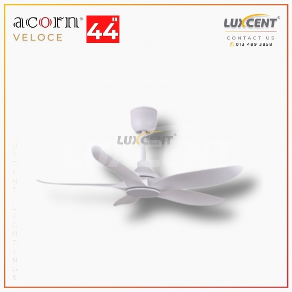 Acorn Veloce (Matt White) 44