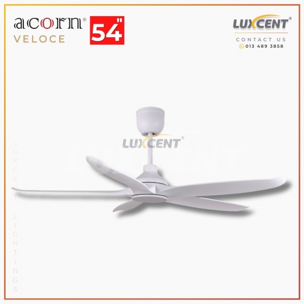 Acorn Veloce (Matt White) 54
