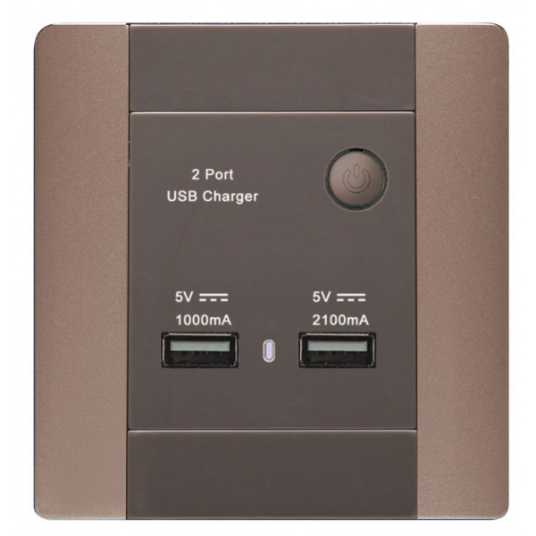 double_usb_charger_1995106723