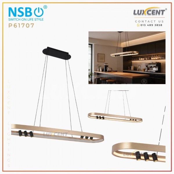 NSB Pendant Light (P61707)